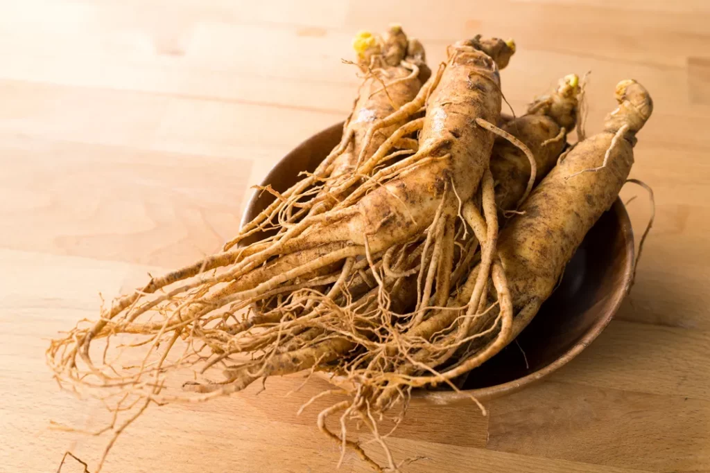 ginseng