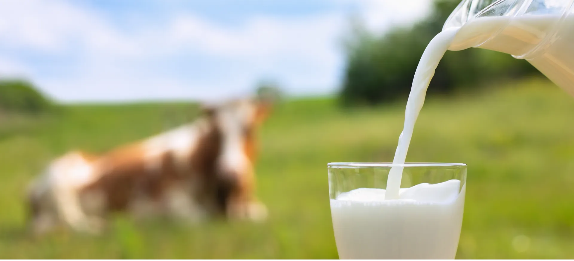 lait liquide