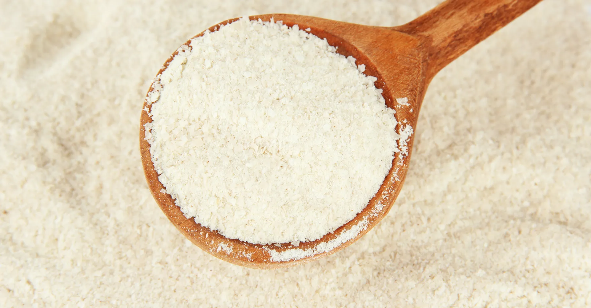 poudre de lait