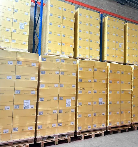 stock